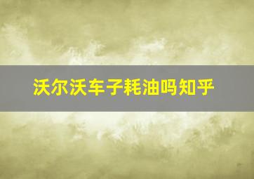 沃尔沃车子耗油吗知乎