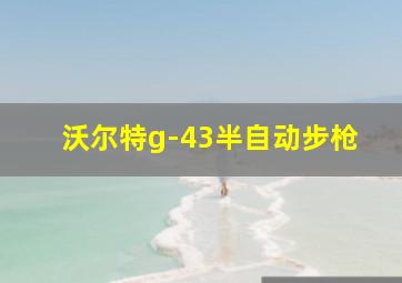 沃尔特g-43半自动步枪