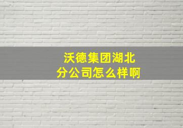 沃德集团湖北分公司怎么样啊