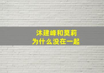 沐建峰和莫莉为什么没在一起