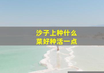 沙子上种什么菜好种活一点