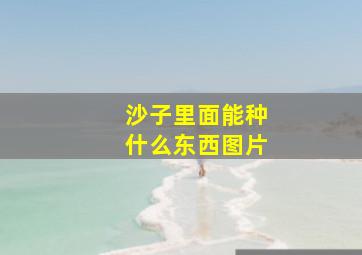 沙子里面能种什么东西图片