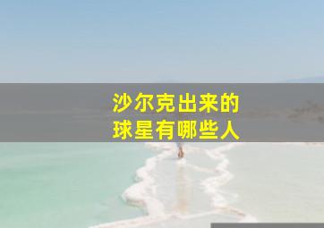 沙尔克出来的球星有哪些人