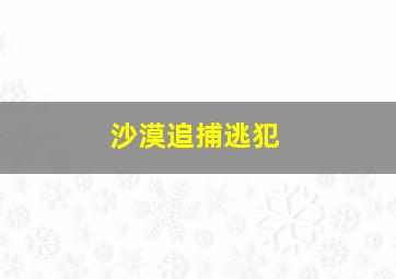 沙漠追捕逃犯