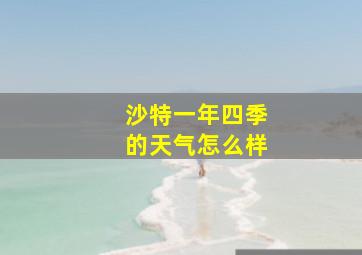 沙特一年四季的天气怎么样