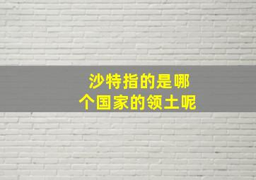 沙特指的是哪个国家的领土呢