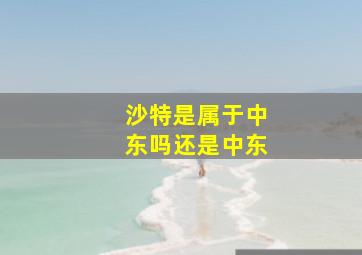 沙特是属于中东吗还是中东