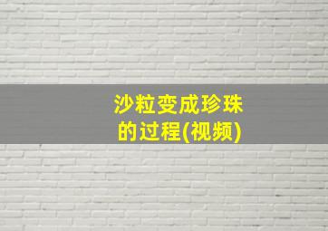 沙粒变成珍珠的过程(视频)