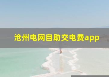 沧州电网自助交电费app