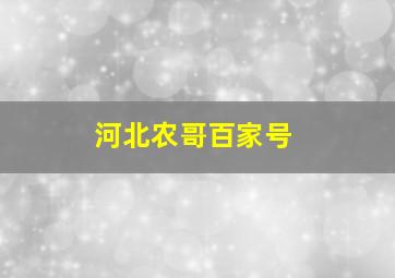 河北农哥百家号