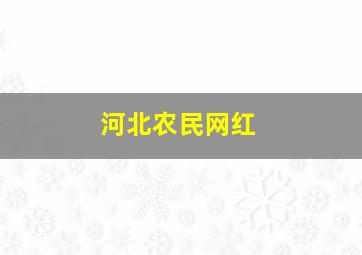 河北农民网红