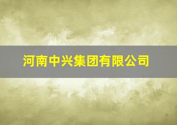 河南中兴集团有限公司