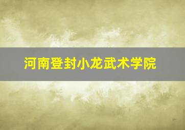 河南登封小龙武术学院