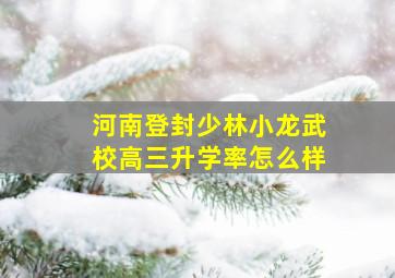 河南登封少林小龙武校高三升学率怎么样