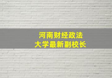 河南财经政法大学最新副校长