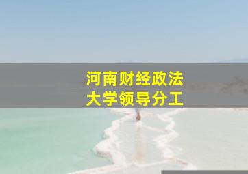 河南财经政法大学领导分工