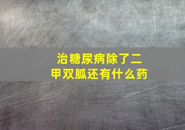 治糖尿病除了二甲双胍还有什么药