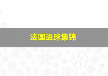 法国进球集锦