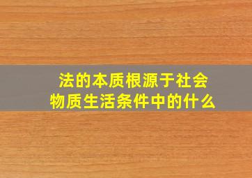 法的本质根源于社会物质生活条件中的什么