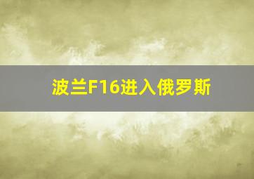 波兰F16进入俄罗斯