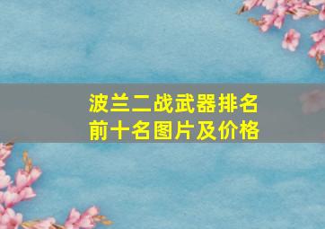 波兰二战武器排名前十名图片及价格