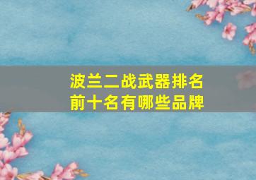 波兰二战武器排名前十名有哪些品牌