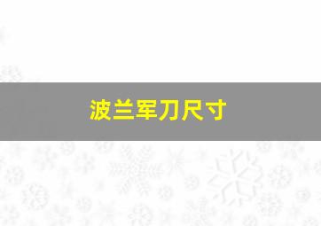 波兰军刀尺寸