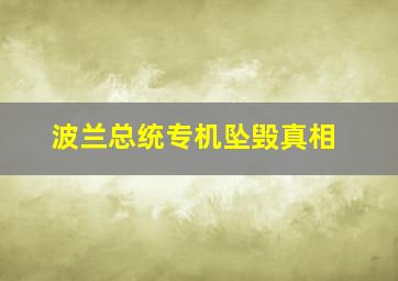 波兰总统专机坠毁真相