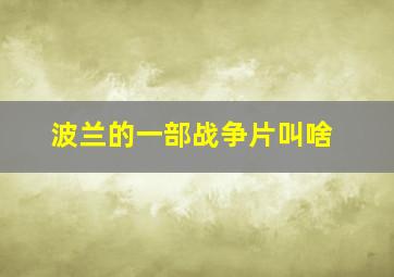 波兰的一部战争片叫啥