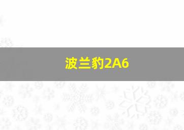 波兰豹2A6