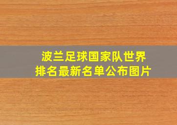 波兰足球国家队世界排名最新名单公布图片