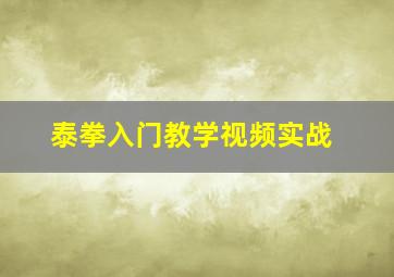 泰拳入门教学视频实战