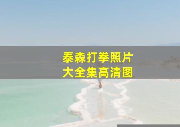 泰森打拳照片大全集高清图