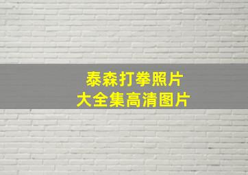 泰森打拳照片大全集高清图片