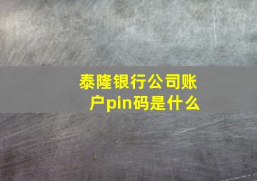 泰隆银行公司账户pin码是什么