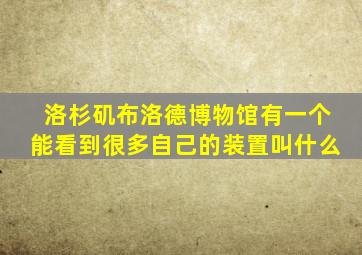 洛杉矶布洛德博物馆有一个能看到很多自己的装置叫什么