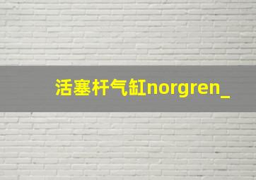 活塞杆气缸norgren_