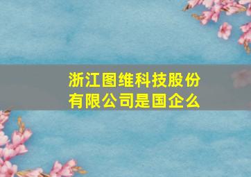 浙江图维科技股份有限公司是国企么