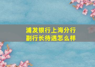 浦发银行上海分行副行长待遇怎么样