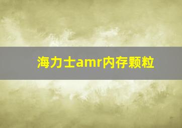 海力士amr内存颗粒