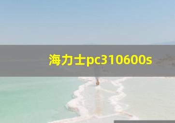 海力士pc310600s