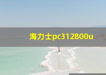 海力士pc312800u