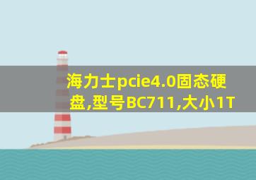 海力士pcie4.0固态硬盘,型号BC711,大小1T