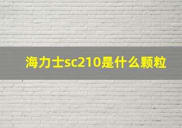 海力士sc210是什么颗粒