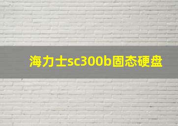 海力士sc300b固态硬盘