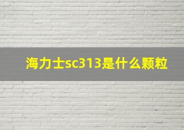 海力士sc313是什么颗粒