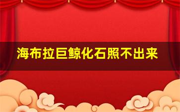 海布拉巨鲸化石照不出来