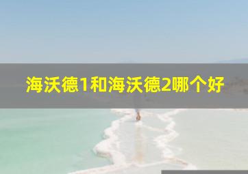 海沃德1和海沃德2哪个好