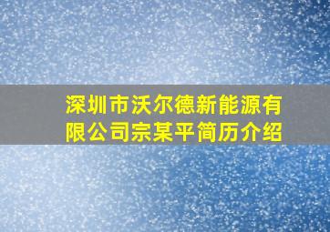 深圳市沃尔德新能源有限公司宗某平简历介绍