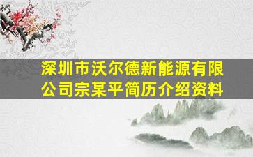 深圳市沃尔德新能源有限公司宗某平简历介绍资料